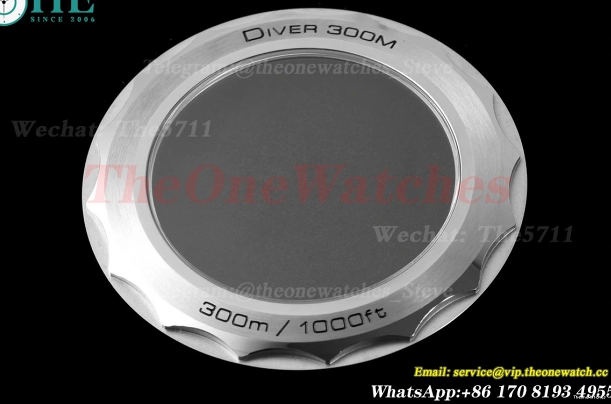 8800 Asia 300m SS 2018 Seamaster ORF Black SS 0113